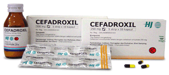 Cefadroxil Indikasi Dosis dan Harga