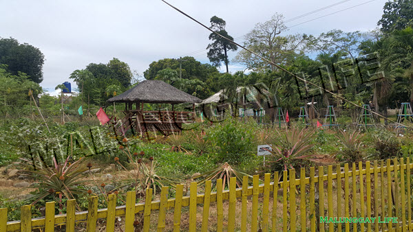 moringa-organic-farming-seminar