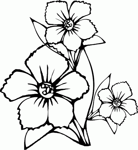 Flower Coloring Pages Colring Pagis To Print Flower Coloring Pages To Print  Flower Free Coloring Book