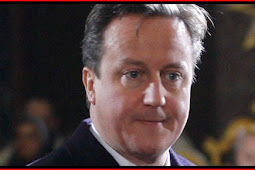David Cameron, The Fat Controller