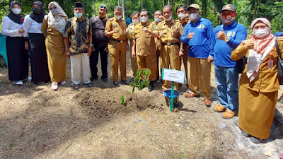 Menyambut 17 Agustus Dinas Kehutanan Provinsi Tanam Pohon Bersama Bupati Donggala