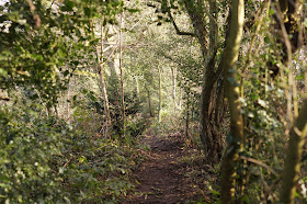 January sights in the Norfolk countryside