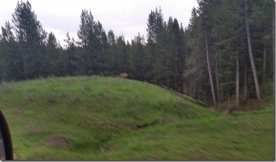 20150601_185339