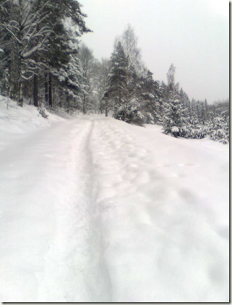 Bild0519