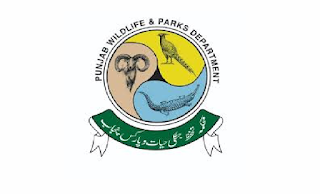 Department of Parks & Wildlife Protection Labor Jobs In Lahore 2025