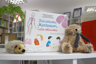 Biblioteczka Montessori - ciało człowieka - recenzja