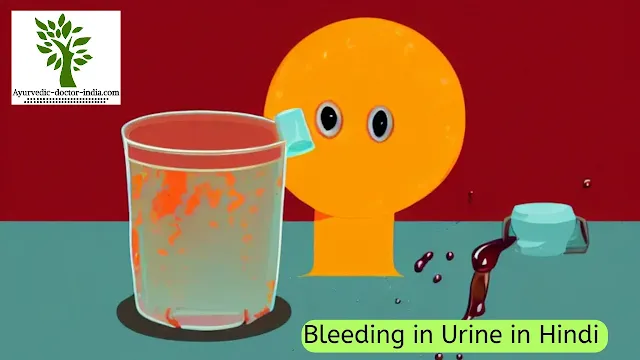 Ayurvedic Remedies for Bleeding in Urine in Hindi