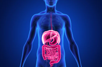 DIGESTIVE SYSTEM