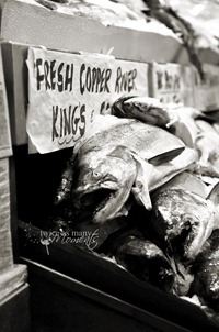 DSC_4982_edit_bw_wm_thumb[3]
