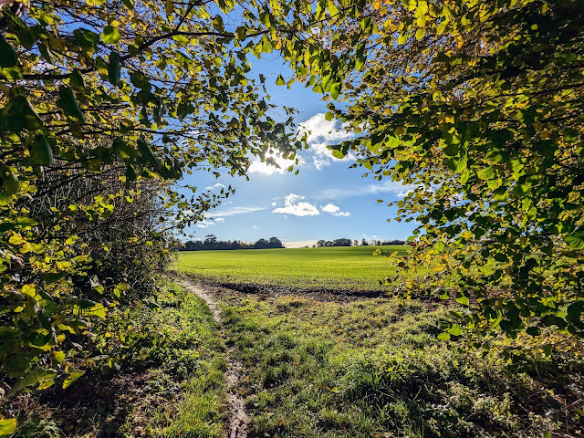 Go through the gap then continue with the hedgerow on the left