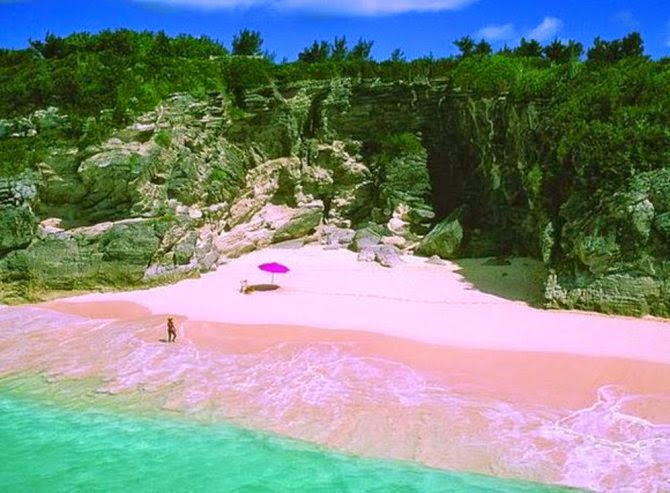 Pantai merah muda
