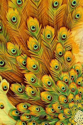  Pattern Animal, Feathers, Bird, Peacock, Orange, All over 