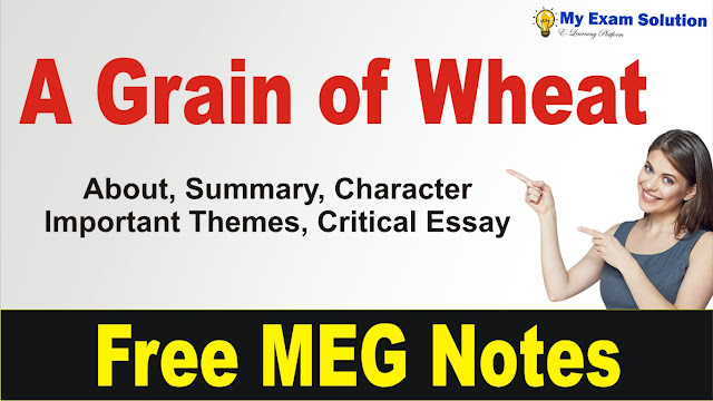 A Grain of Wheat Summary, a grain of wheat in english literature, english literature, a grain of wheat summary in hindi, a grain of wheat in hindi