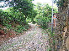 Camino al Lago Suchitlán