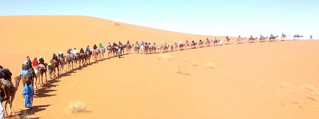 14 days real morocco tour