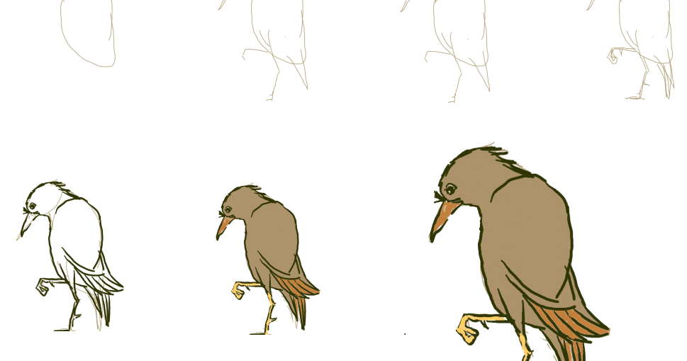  Cara Menggambar Burung 