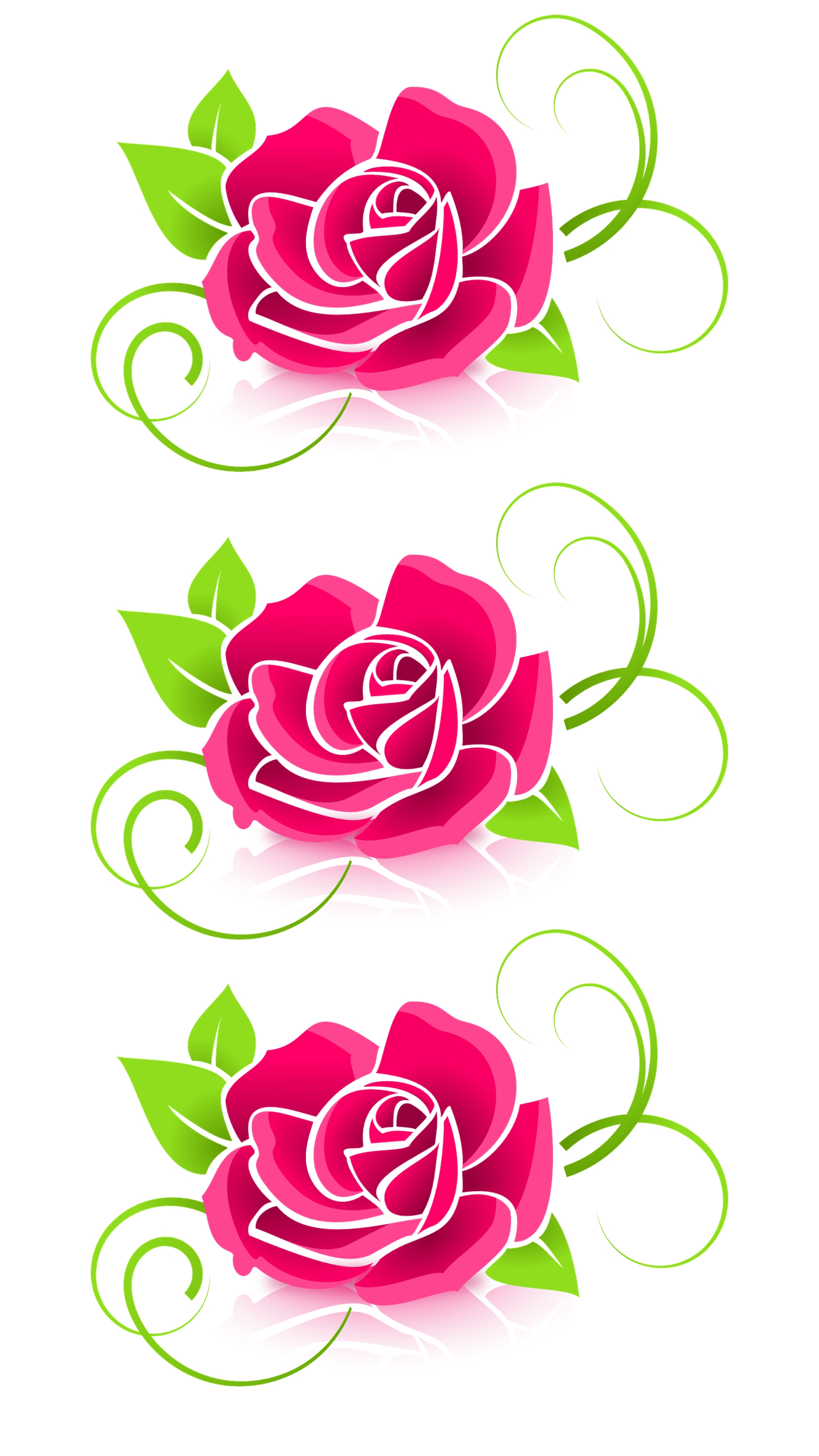 Gulab Ke Phool Wale, White And Red Rose, flower, HD phone wallpaper | Peakpx
