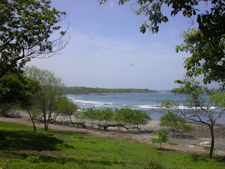 Playa Lagarto, Santa Cruz