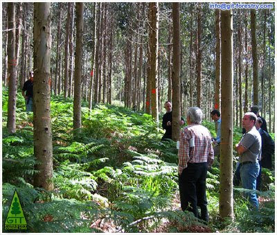 GIT Forestry Consulting, Consultoría y Servicios de Ingeniería Agroforestal, Galicia, España, Spain / Eucalyptologics, information resources on Eucalyptus cultivation around the world / Eucalyptologics, recursos de informacion sobre el cultivo del eucalipto en el mundo