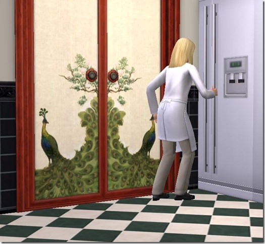 ScreenShot009