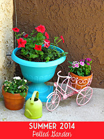 Summer 2014 Potted Garden (Spray Painted Plastic Urn & Bicycle Planter)