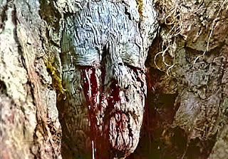 Evil Trees Film & TV List