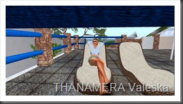 Snapshot_004