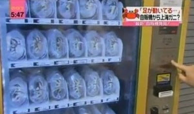 The strangest things sold in vending machines Seen On  www.coolpicturegallery.us