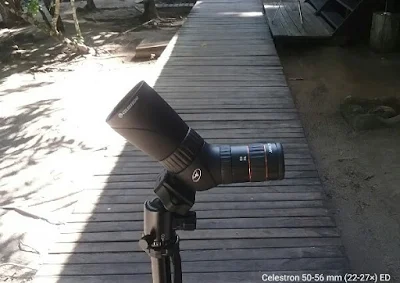 Celestron ED lens micro spotting scope