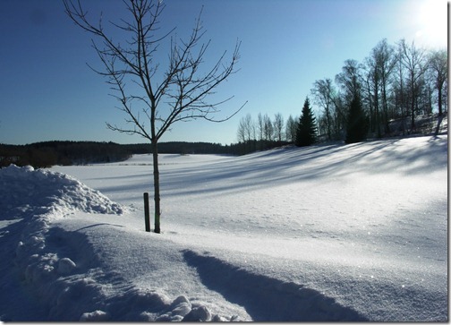 White white white