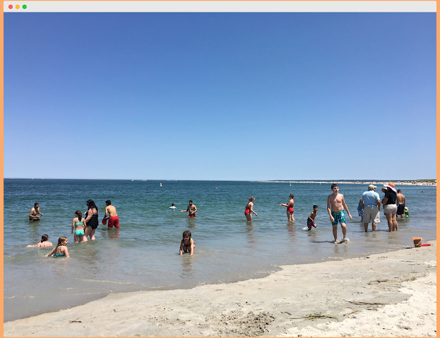 kids and families at crane beach