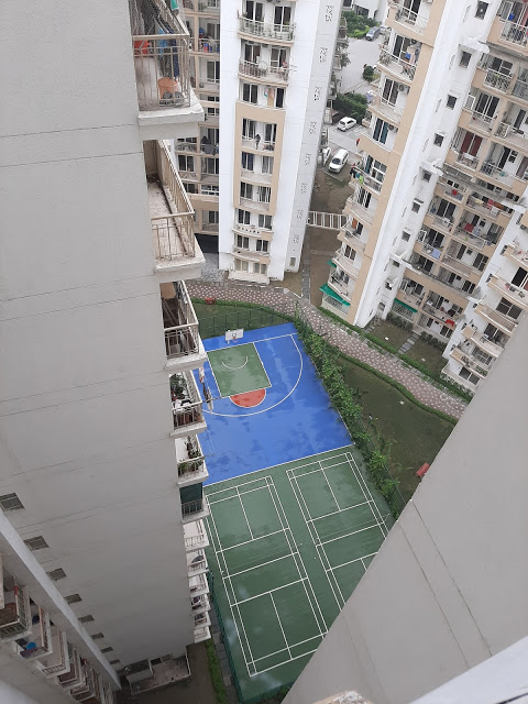 basketball court