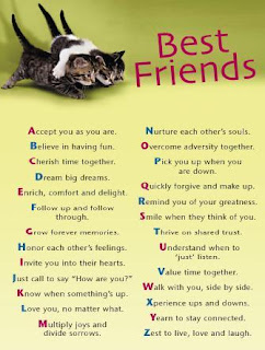 quotes about friendship, quotes on friendship, quote about friendship, cute quotes about friendship, quotes for friendship, quote on friendship, funny quotes friendship
