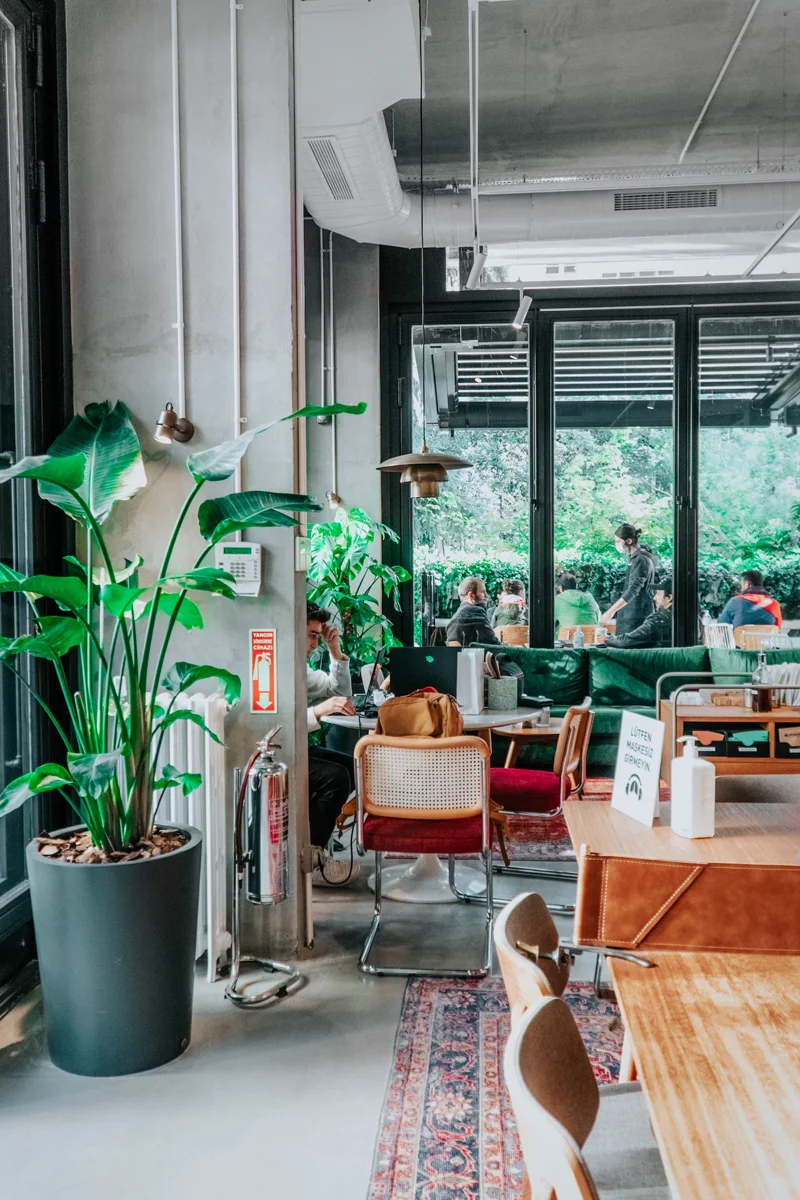 plants in coworking space