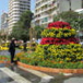 View album