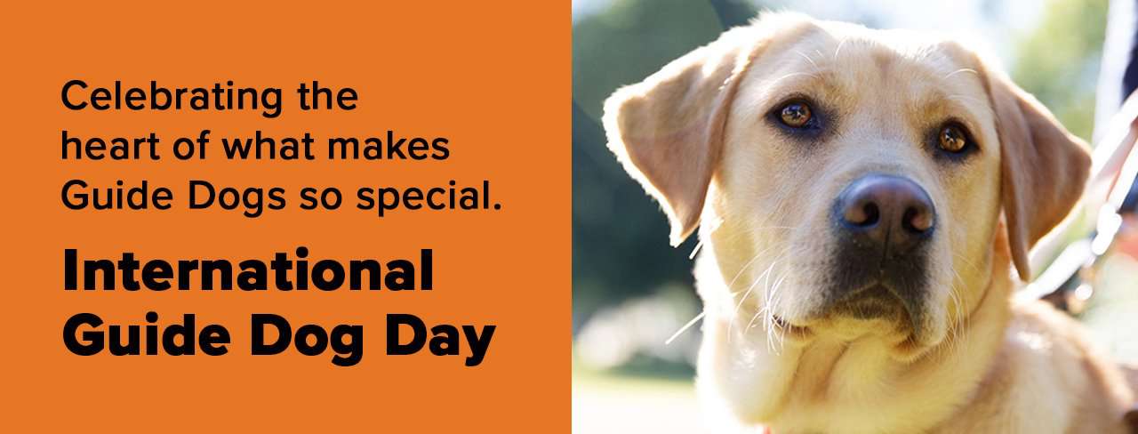 International Guide Dog Day Wishes Pics