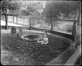 Niños jugando con caimanes a principios del siglo XX