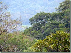 DSC00798