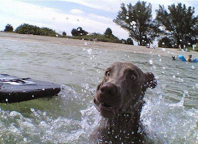 Summer in the Beach