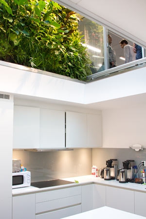 vertical garden inside an office