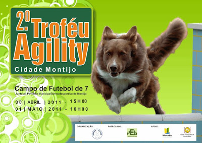 agility montijo