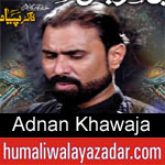 https://humaliwalaazadar.blogspot.com/2019/09/adnan-khawaja-nohay-2020.html