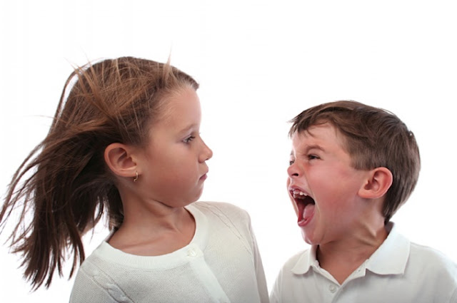 Filho agressivo, menino pequeno, gritando com irmã, menina mais velha.