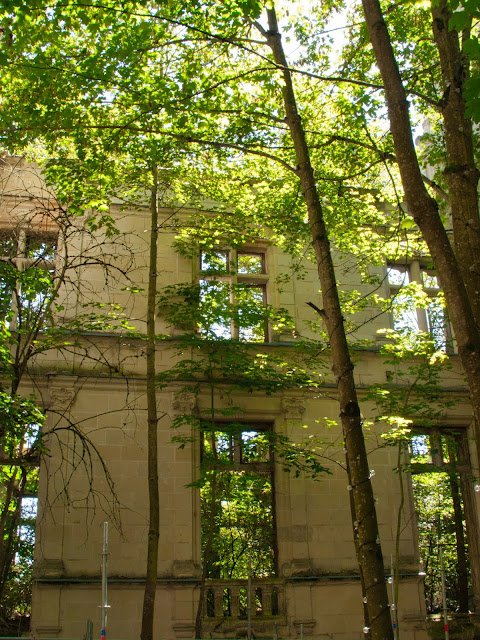 jiemve, château, Mothe Chandeniers, cour, Vienne, Aquitaine