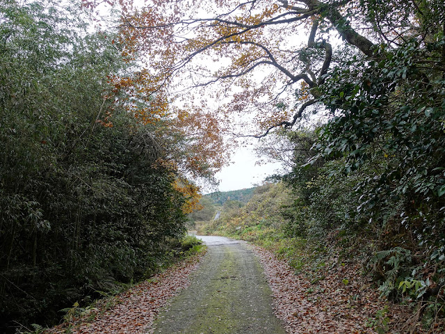 淀江町稲吉の果樹園への小径