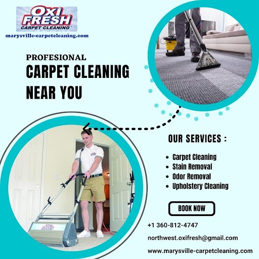 Carpet Cleaners Near Me: Quality Cleaning for Your Home or Business
