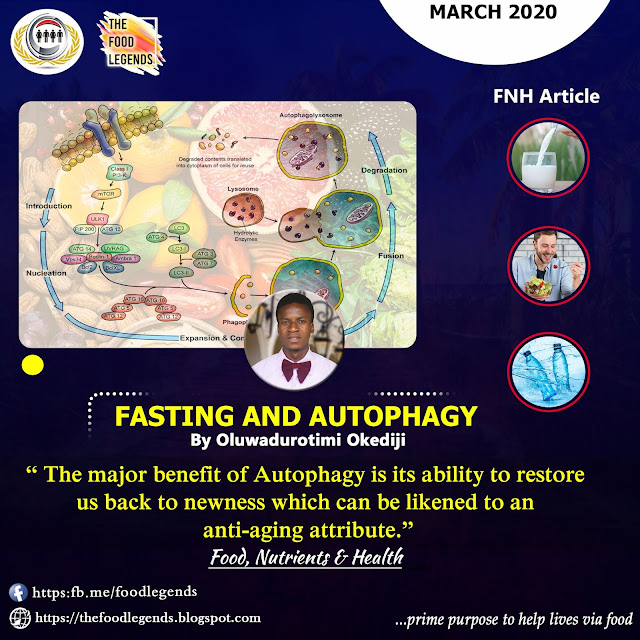 Fasting and Autophagy