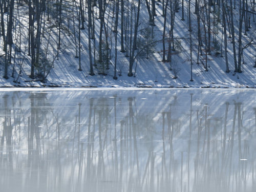 Bowman Lake