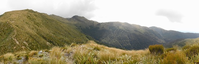 DSCN5332