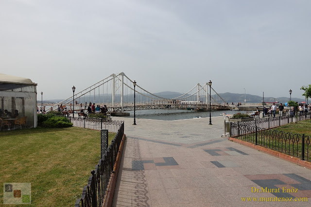 Bandırma Sahili - Tüm Otel Restaurant - Bandırma Fotoğrafları - Bandırma Sahili Fotoğrafları - Bandırma Görüntüleri - Bandırma Fotoları - Bandırma Manzaraları - Bandırma Plajları